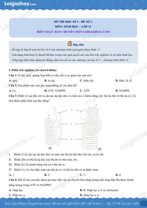 Đề số 2 - Đề kiểm tra học kì 1 - Sinh học 11
